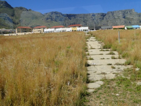 The scar on the southern  slopes of Table Mountain